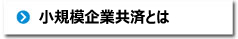 小規模共済とは